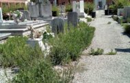 Vigarano Mainarda (Fe) - Lo stato di incuria del cimitero